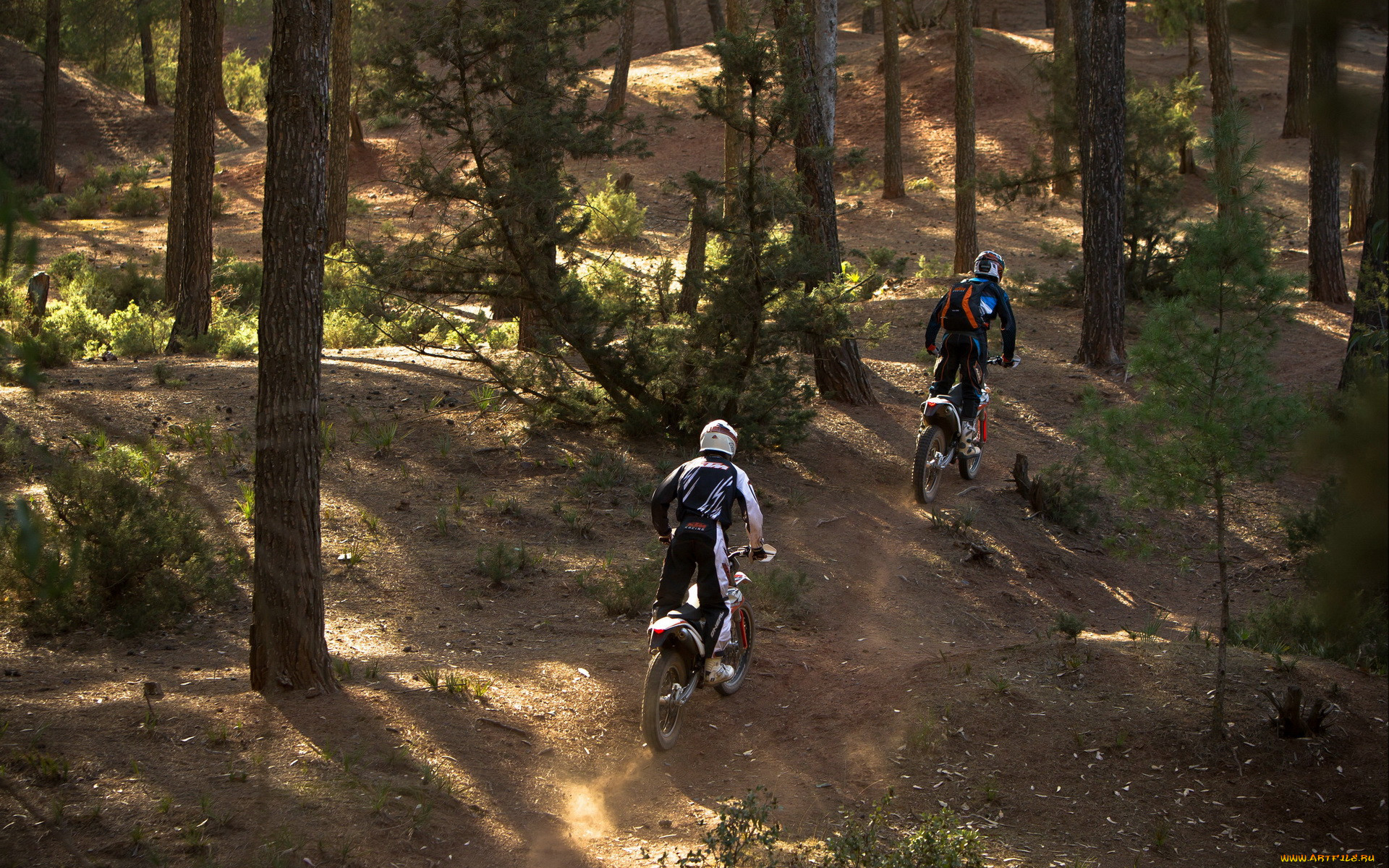, , , freeride, 350, ktm